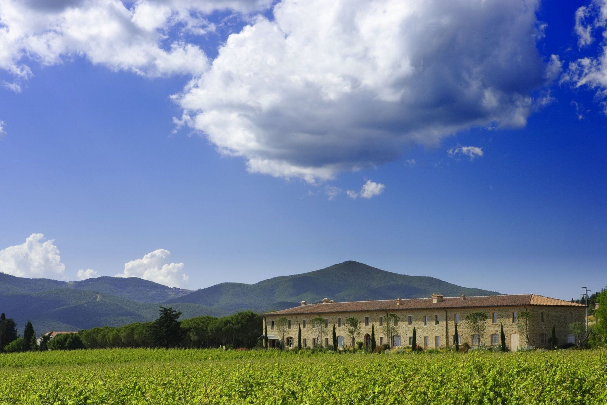 L'Andana Tenuta La Badiola Castiglione della Pescaia Exterior photo